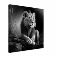 Cadre Noir et Blanc – Dessin détaillé d’un lion paisible cadre noir et blanc dessin détaillé d'un lion paisble