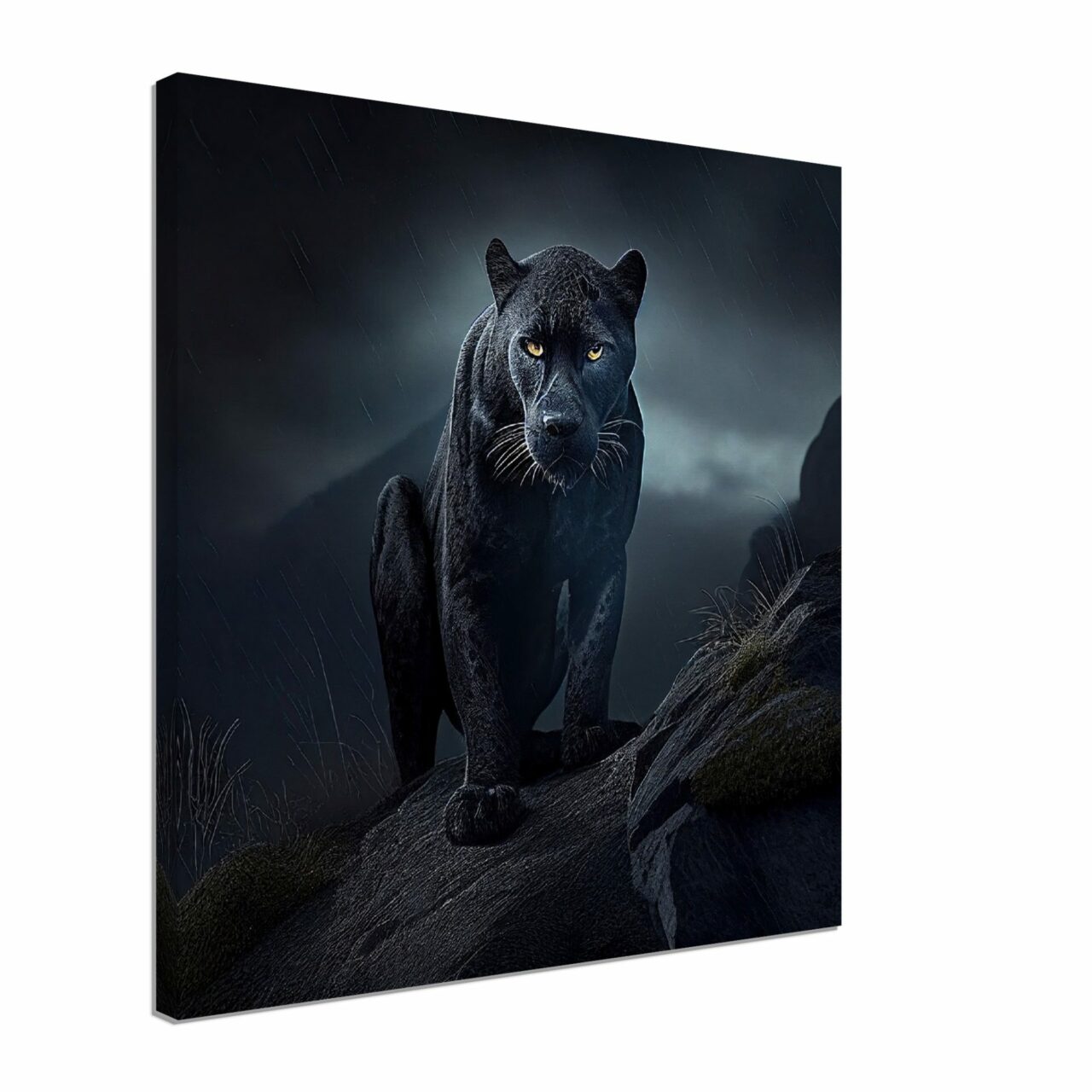 Cadre photo – Panthère noire des neiges sous la pluie cadre photo panthère noire des neiges sous la pluie