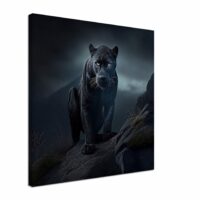 Cadre photo – Panthère noire des neiges sous la pluie cadre photo panthère noire des neiges sous la pluie