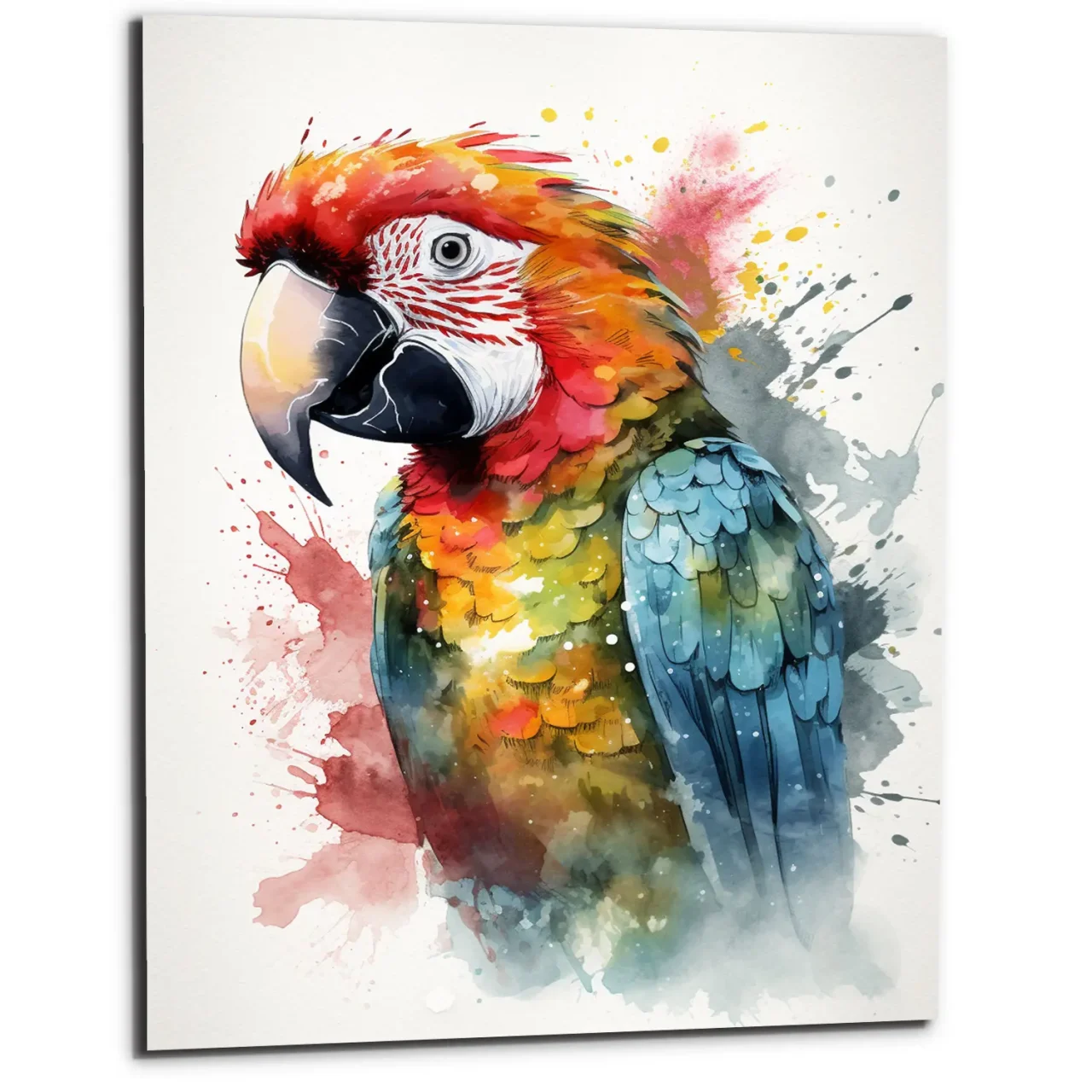 art cadre mural aquarelle portrait de perroquet