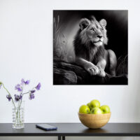 Cadre Noir et Blanc – Dessin détaillé d’un lion paisible cadre noir et blanc dessin détaillé d'un lion paisible
