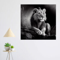 Cadre Noir et Blanc – Dessin détaillé d’un lion paisible cadre noir et blanc dessin détaillé d'un lion paisible