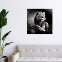 Cadre Noir et Blanc – Dessin détaillé d’un lion paisible cadre noir et blanc dessin détaillé d'un lion paisible