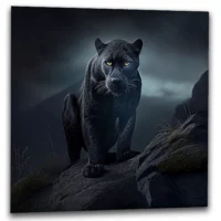 Cadre photo – Panthère noire des neiges sous la pluie cadre photo panthère noire des neiges sous la pluie