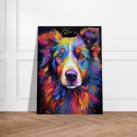 border collie couleurs psyché