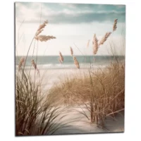 Cadre mural Herbe de plage, oyat des dunes herbe de plage, oyat des dunes