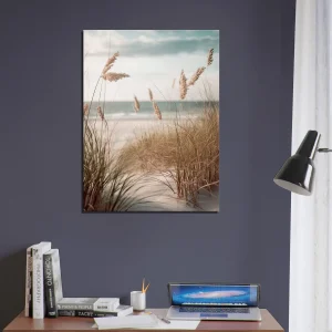 herbe de plage, oyat des dunes