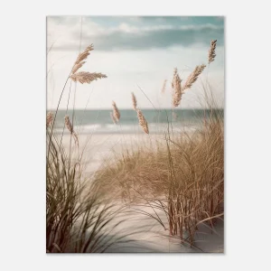 herbe de plage, oyat des dunes