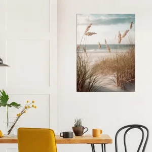 herbe de plage, oyat des dunes