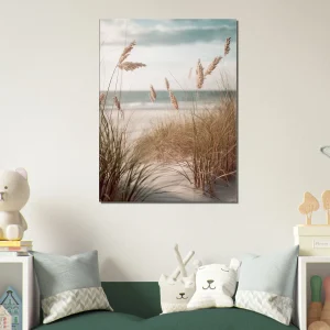 herbe de plage, oyat des dunes