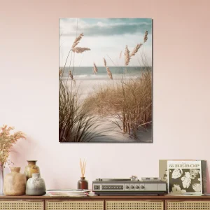 herbe de plage, oyat des dunes