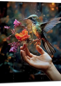 Cadre mural Colibri mangeant dans la main colibri mangeant dans la main