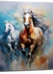 elan vital course des chevaux sauvages elan vital course des chevaux sauvages