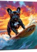 bouledogue francais a lunettes surfeur bouledogue français à lunettes surfeur