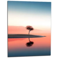 Cadre mural Oasis Rose des sables Cadre mural Oasis Rose des sables